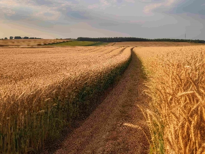 2024年4月“科学”流言榜