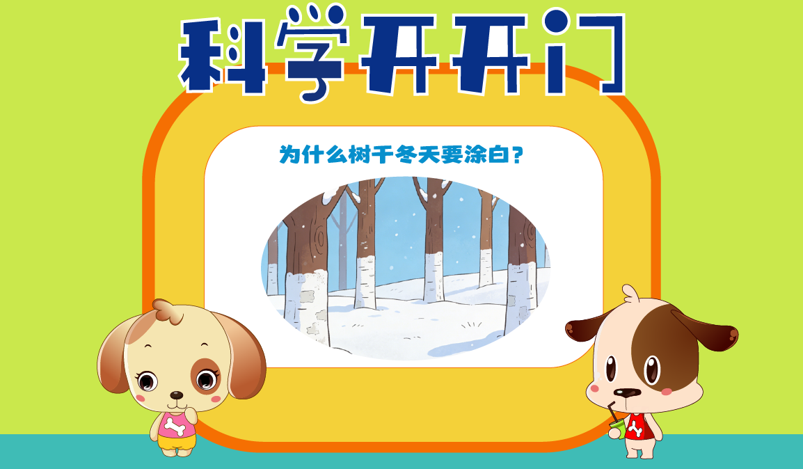 【科学开开门】第478集：为什么树干冬天要涂白？