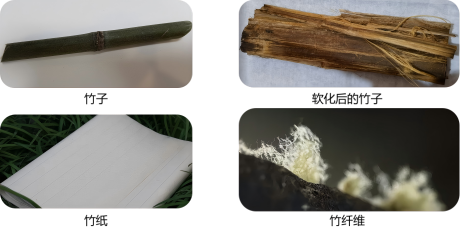 【活动预告】竹韵纸香，载录风华——竹纸制作技艺体验活动