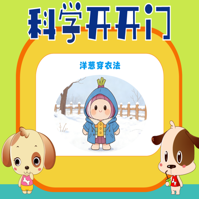【科学开开门】第479集：洋葱穿衣法