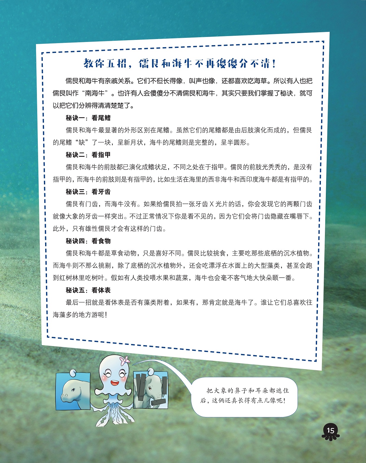 儒艮和海牛有亲戚关系,如何分清儒艮和海牛