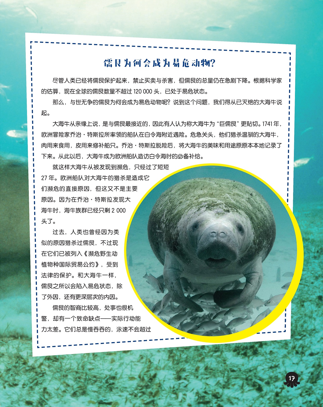 儒艮为何会成为易危动物,儒艮的智商比较高