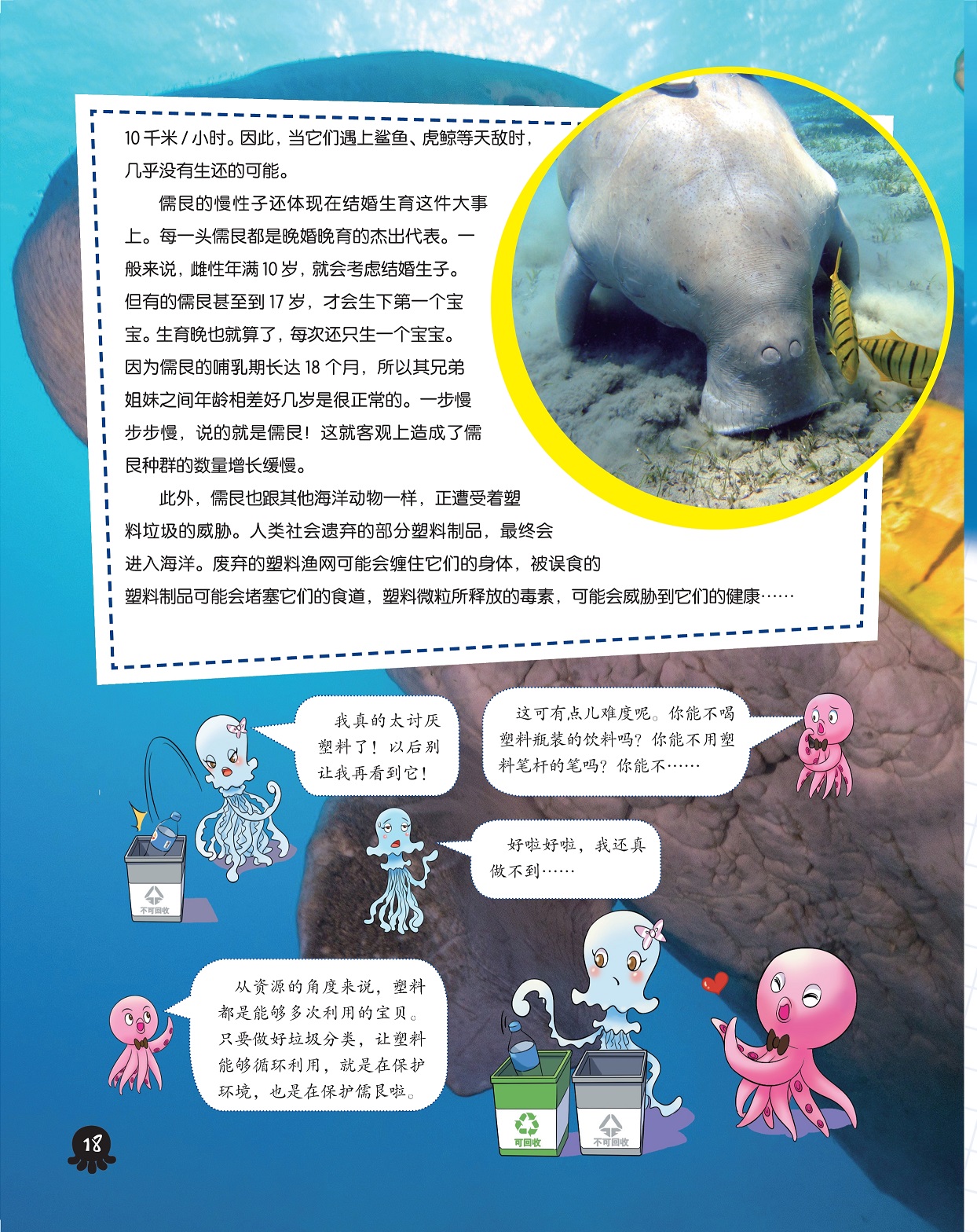 儒艮都是晚婚晚育的杰出代表,保护海洋环境