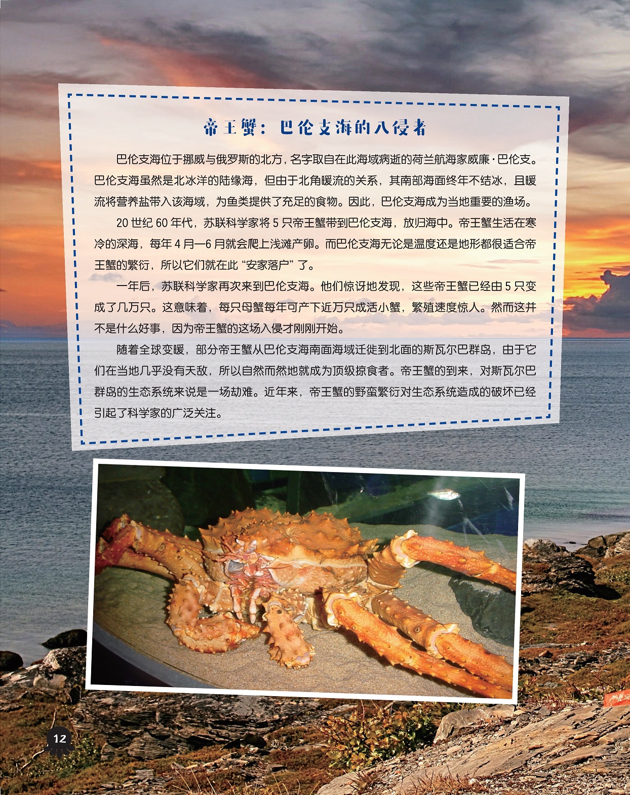巴伦支海的入侵者,帝王蟹的野蛮繁衍 巴伦支海的入侵者,帝王蟹的野蛮繁衍