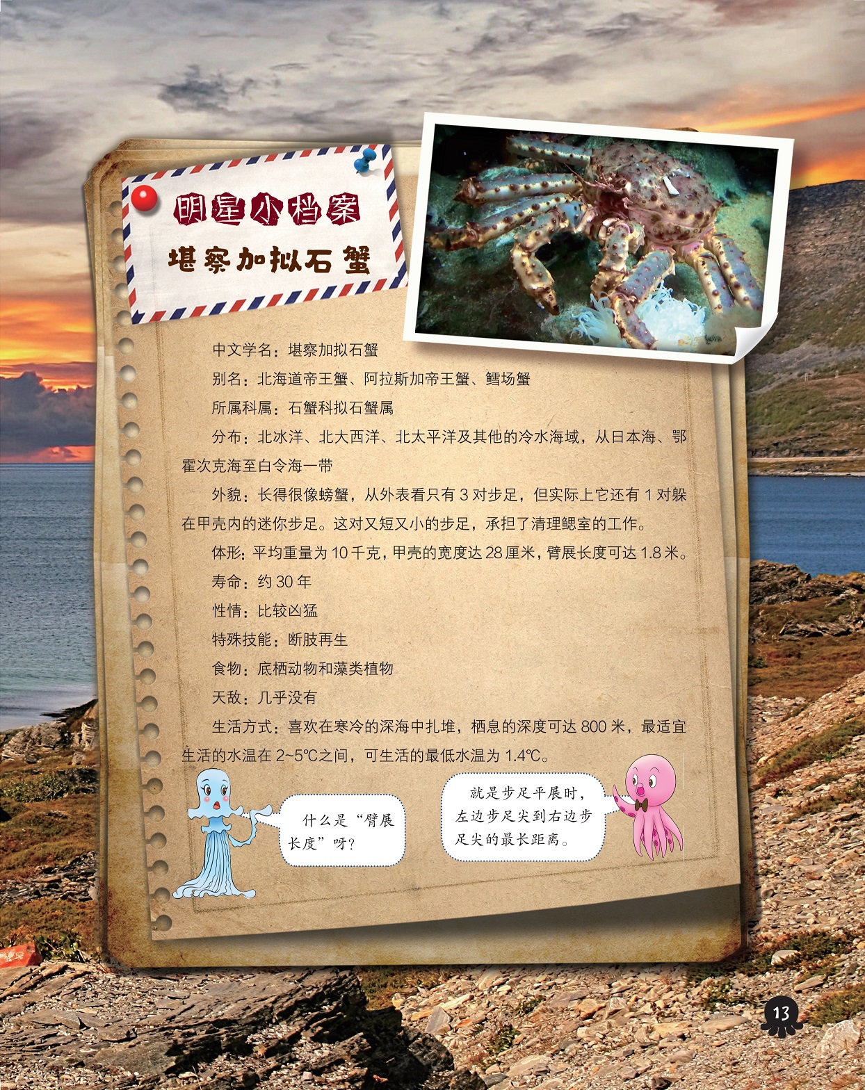 堪察加拟石蟹介绍,喜欢在寒冷的深海中扎堆 堪察加拟石蟹介绍,喜欢在寒冷的深海中扎堆