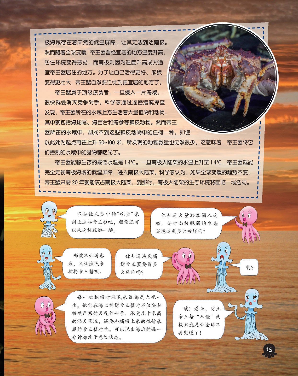 帝王蟹属于顶级掠食者,生态环境面临浩劫 帝王蟹属于顶级掠食者,生态环境面临浩劫