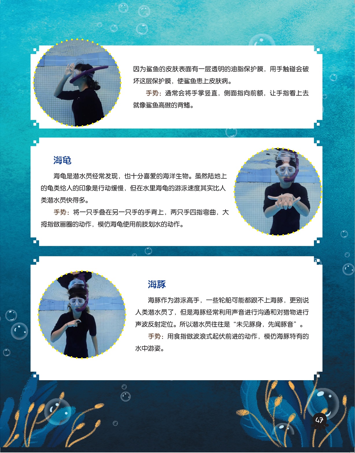 鲨鱼皮肤表面有油脂保护膜,海龟是潜水员喜爱的海洋生物 鲨鱼皮肤表面有油脂保护膜,海龟是潜水员喜爱的海洋生物