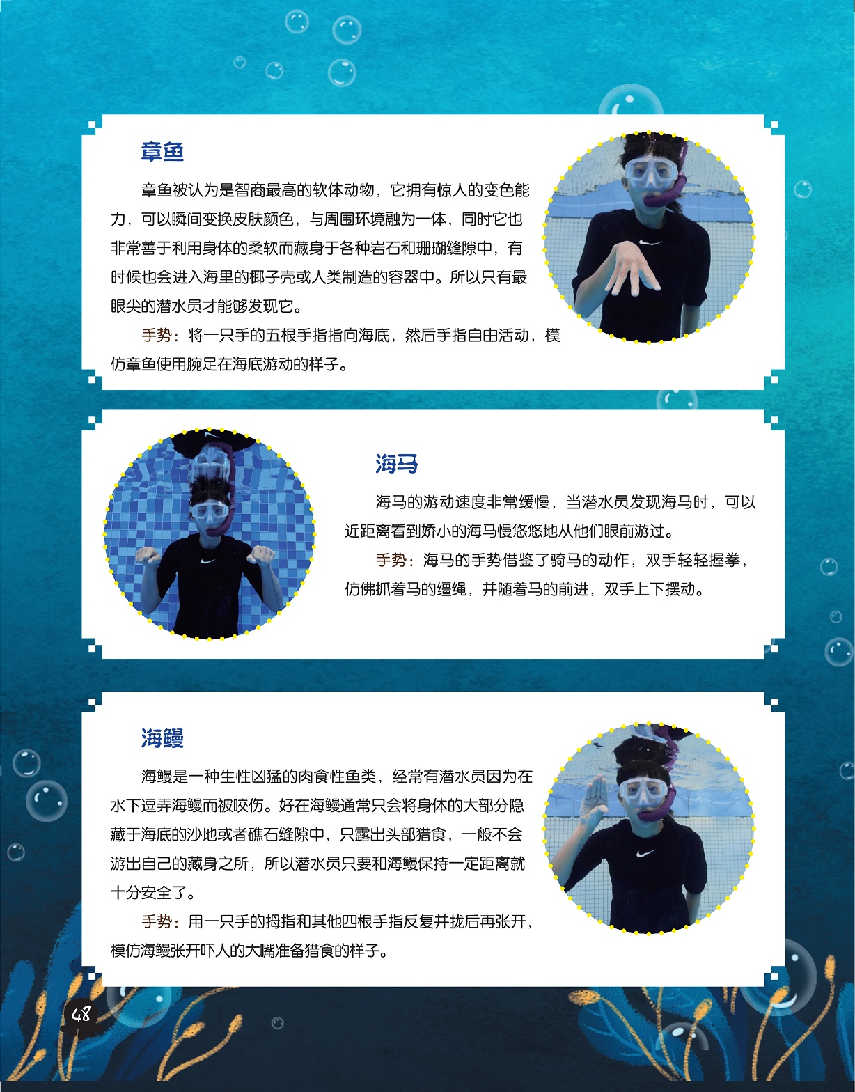 章鱼被认为是智商最高的软体动物,潜水员和海鳗保持一定距离 章鱼被认为是智商最高的软体动物,潜水员和海鳗保持一定距离