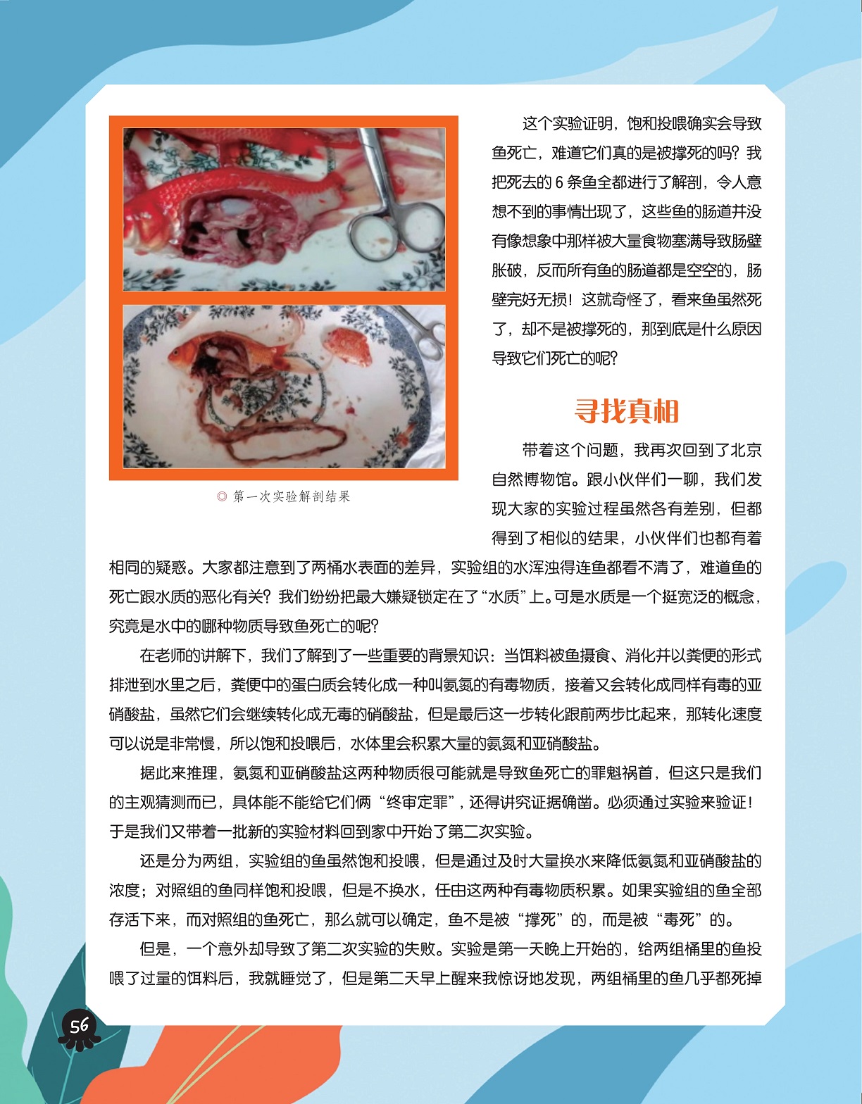 第一次实验解剖结果,氨氮和亚硝酸盐可能导致鱼死亡 第一次实验解剖结果,氨氮和亚硝酸盐可能导致鱼死亡