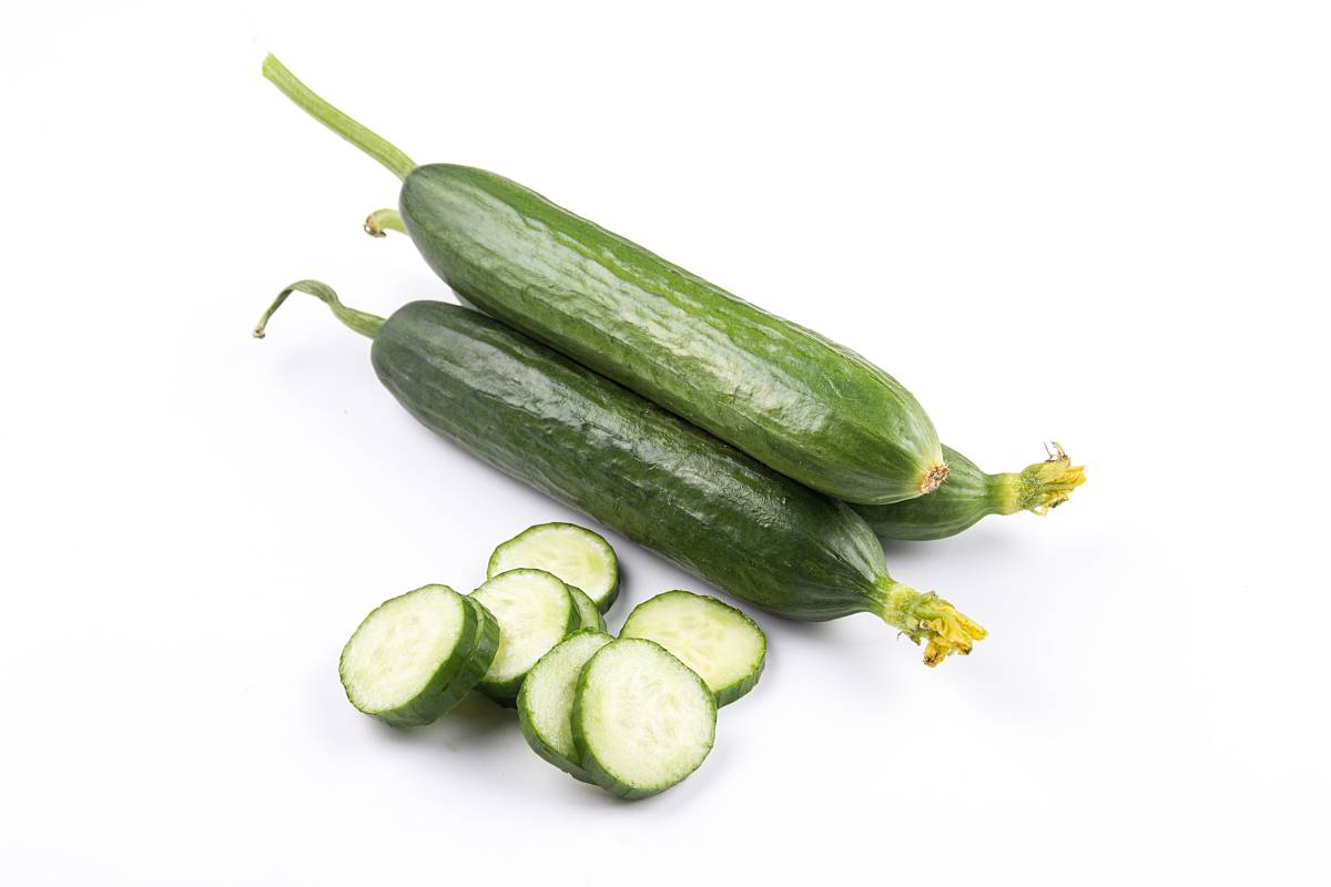 黄瓜 黄瓜