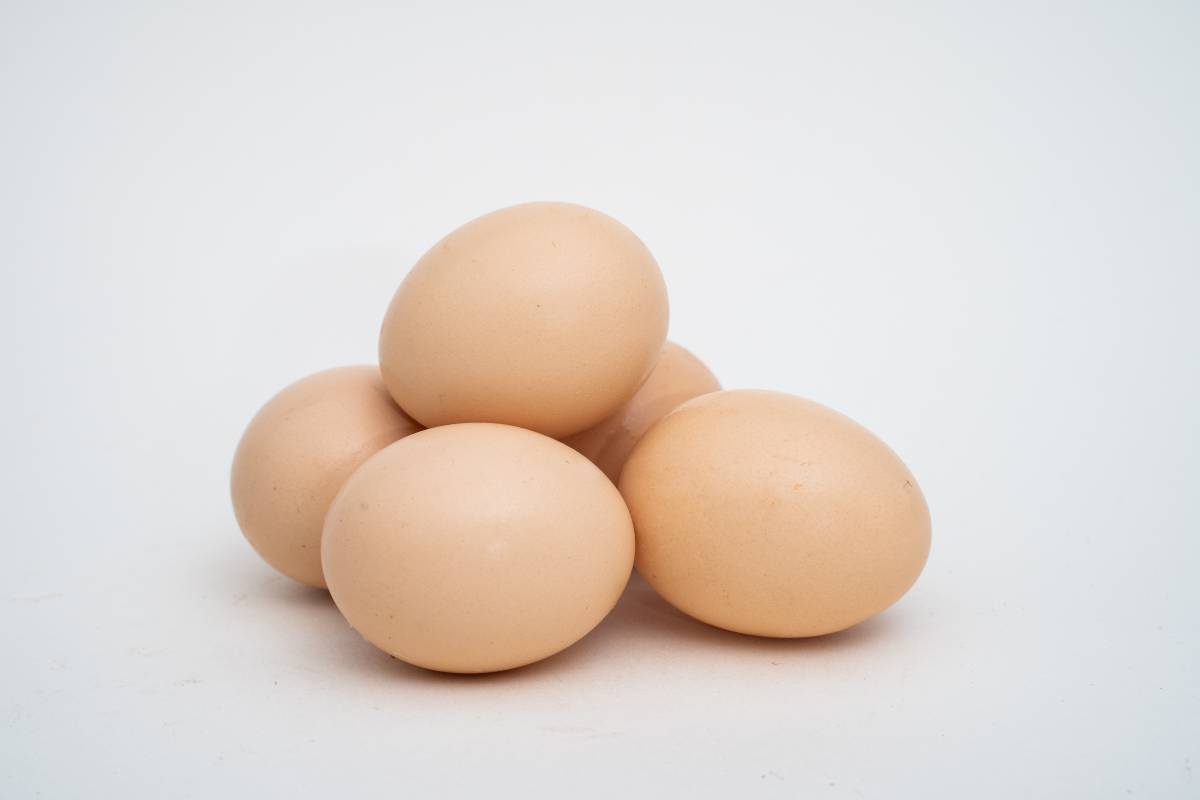鸡蛋 鸡蛋