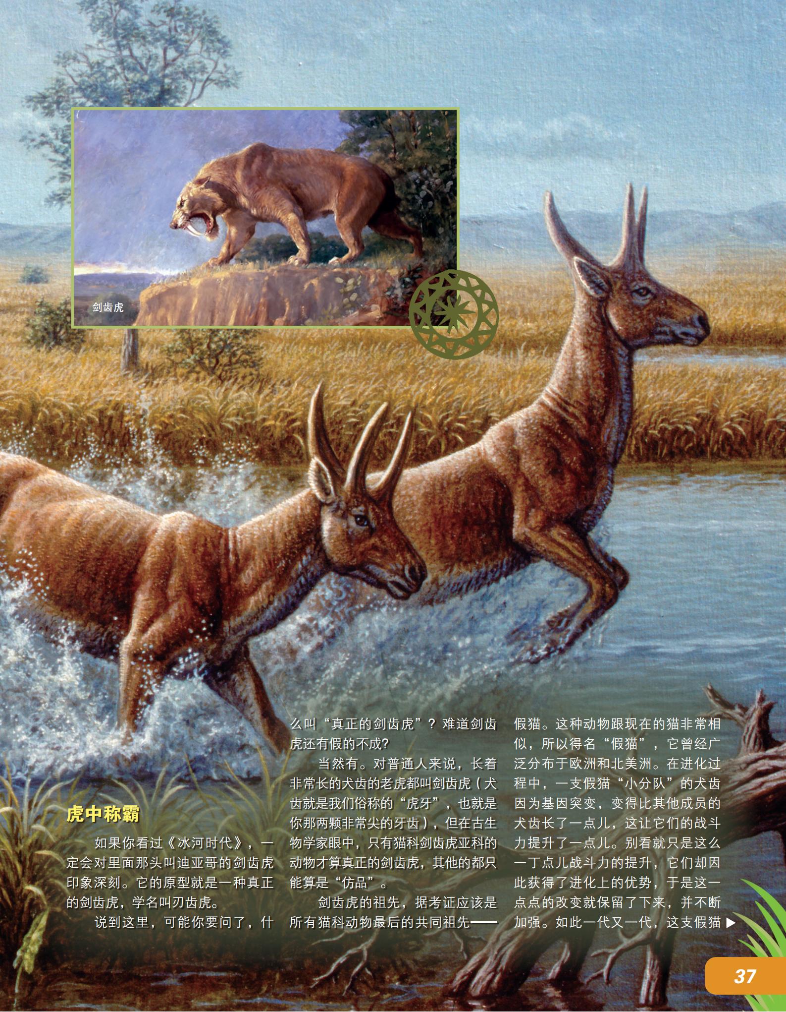 假猫,基因突变,进化