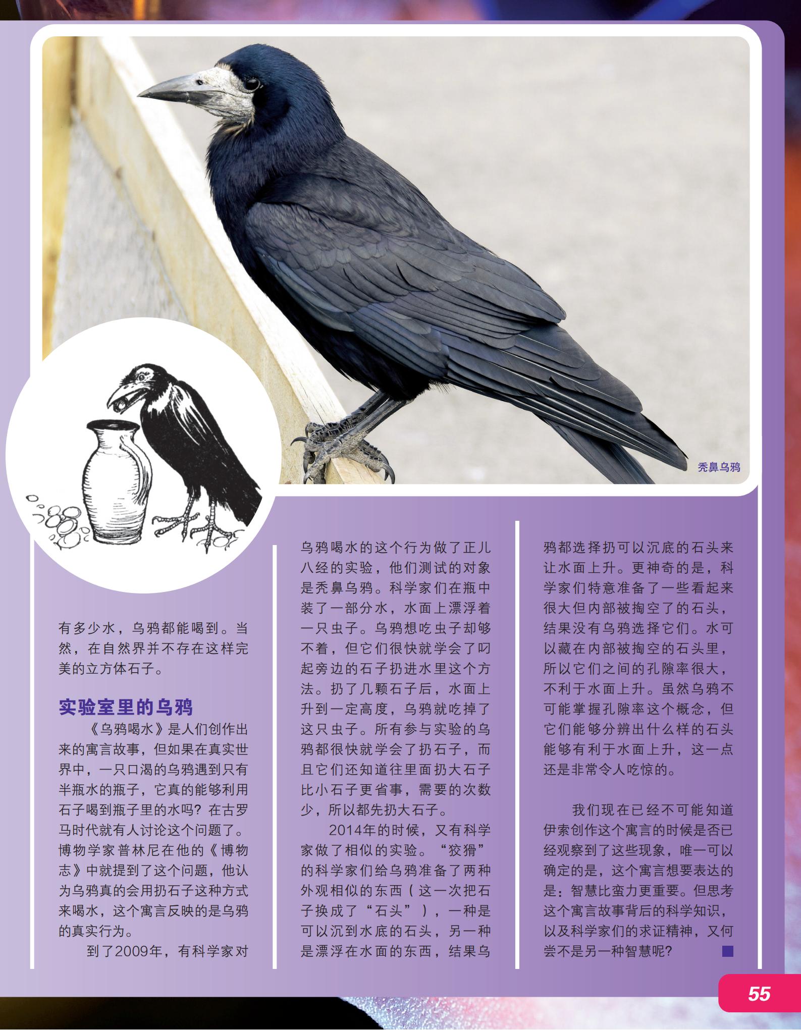 实验室,扔石子,口渴