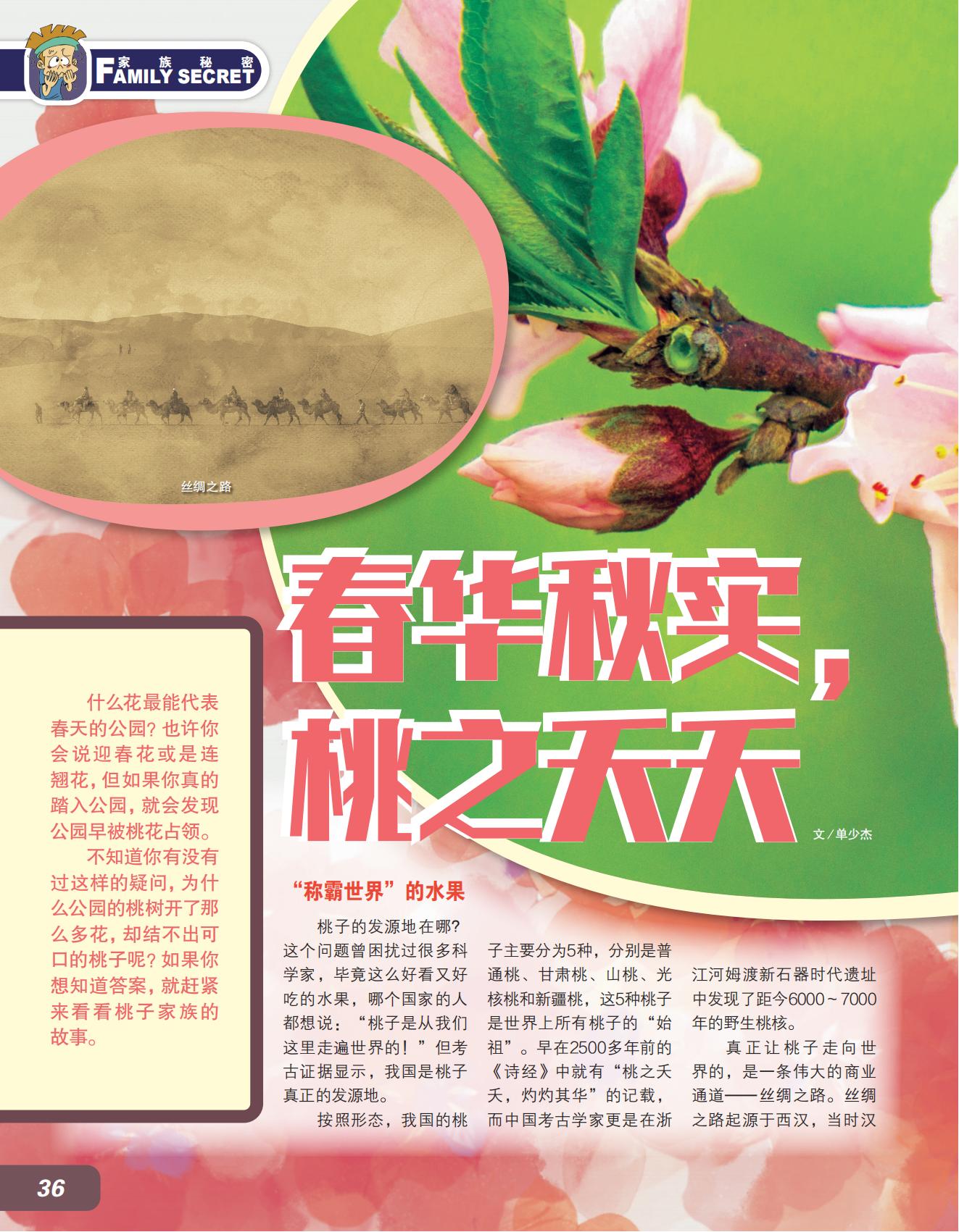 春华秋实,桃之夭夭