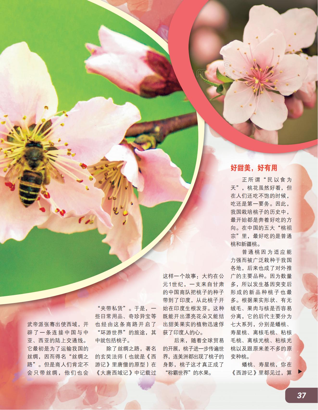 甜美,有用,称霸世界