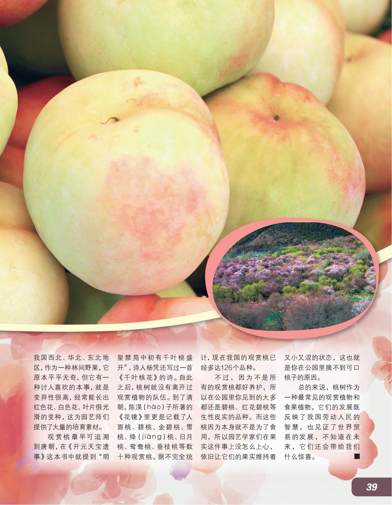 林间野果,观赏桃,果实