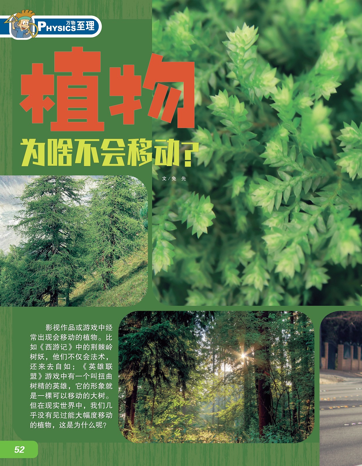 影视作品或游戏中经常出现会移动的植物,现实世界几乎没有大幅度移动的植物