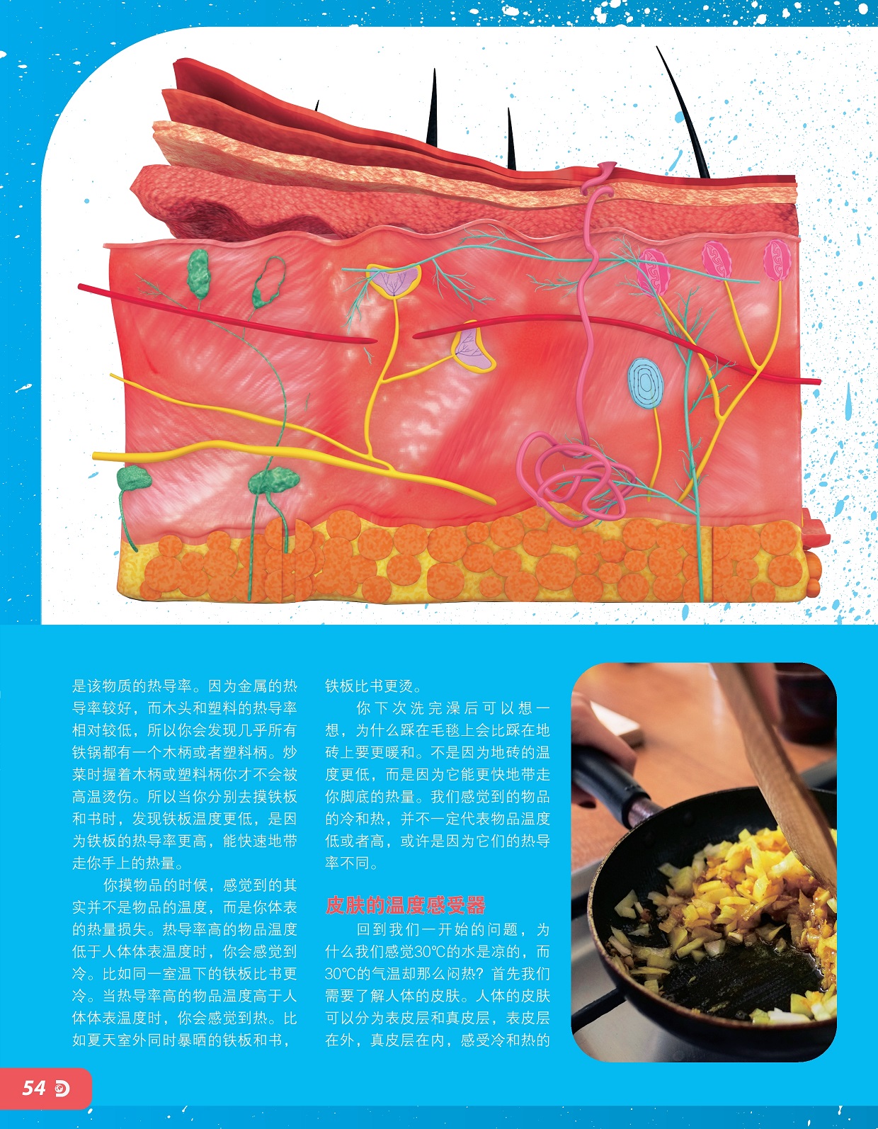 铁板的热导率更高,皮肤的温度感受器