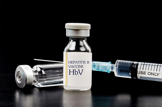 莉莉体内的病毒,从何而来 莉莉体内的病毒,从何而来