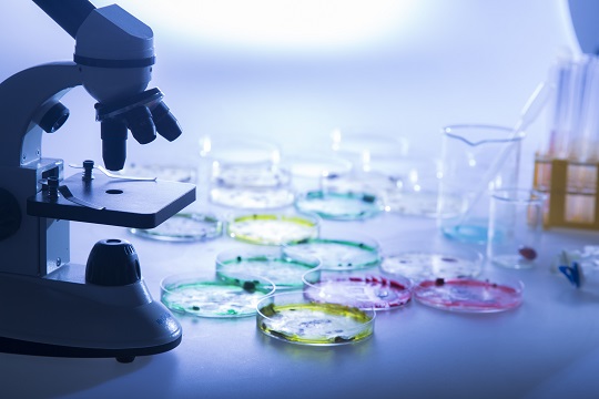 买皮衣也可能感染? 买皮衣也可能感染?