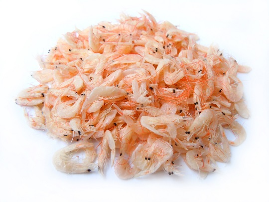 钙含量高，靠它补钙却不够