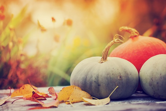 凉燥为主，宜吃石斛杞菊粥