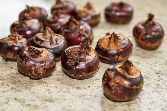 生吃莲藕、菱角，也有风险