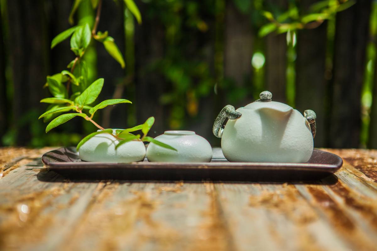 茶