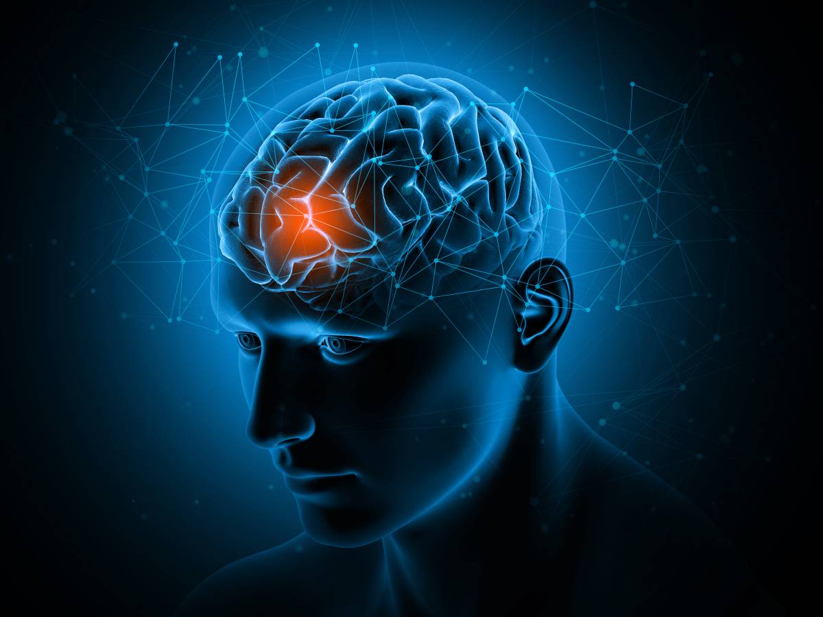 大脑