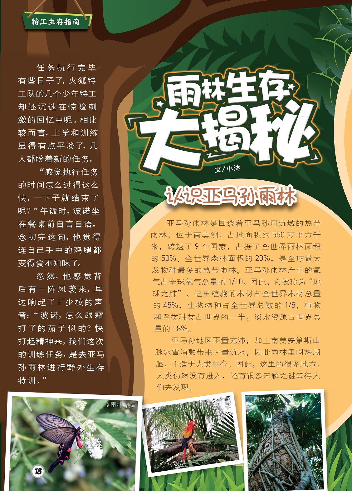 认识亚马孙雨林,雨林不适合人类生存