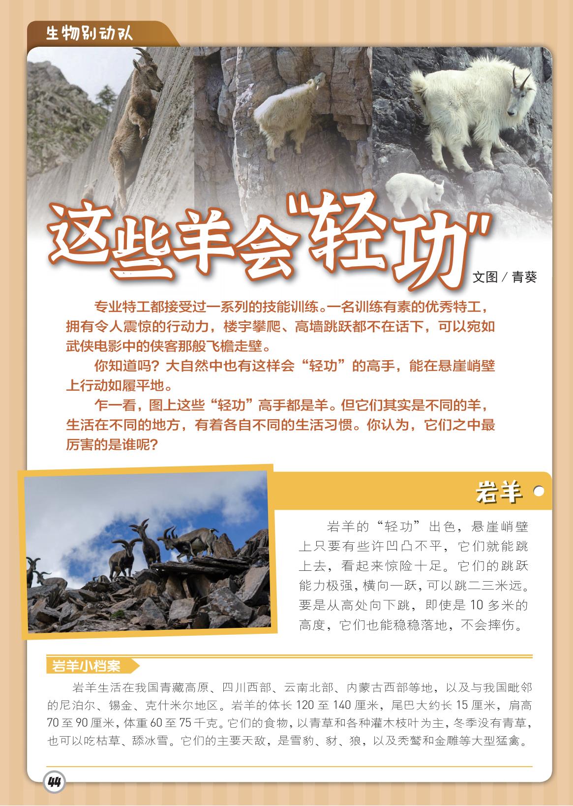 岩羊,高手,跳跃能力