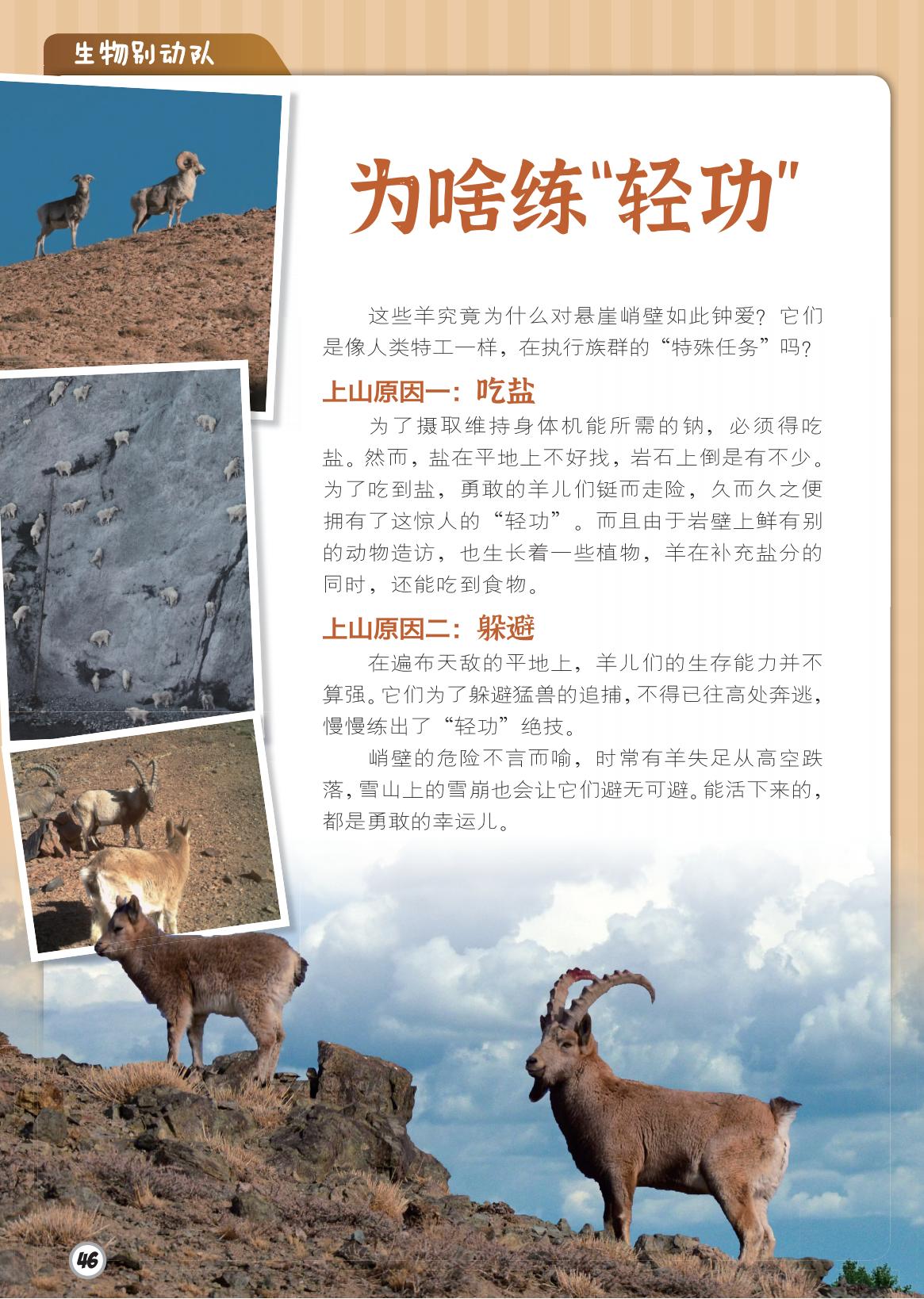 吃盐,轻功,躲避