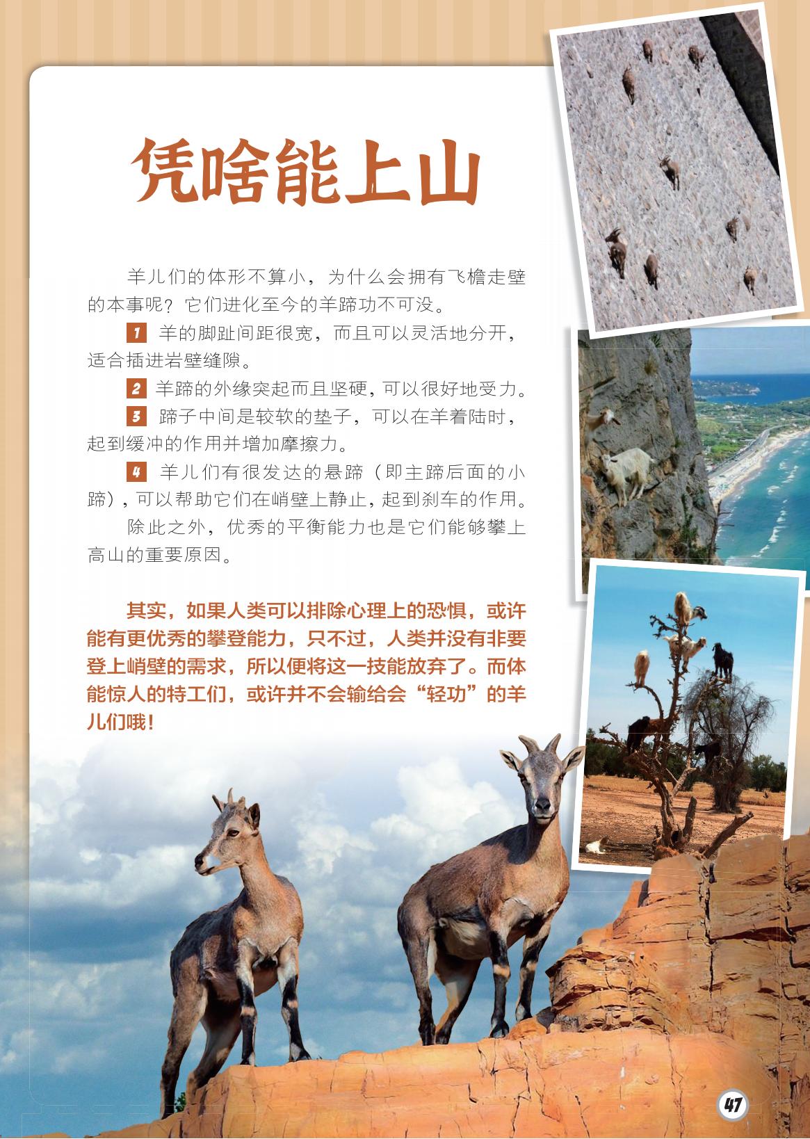 上山,羊蹄,攀登