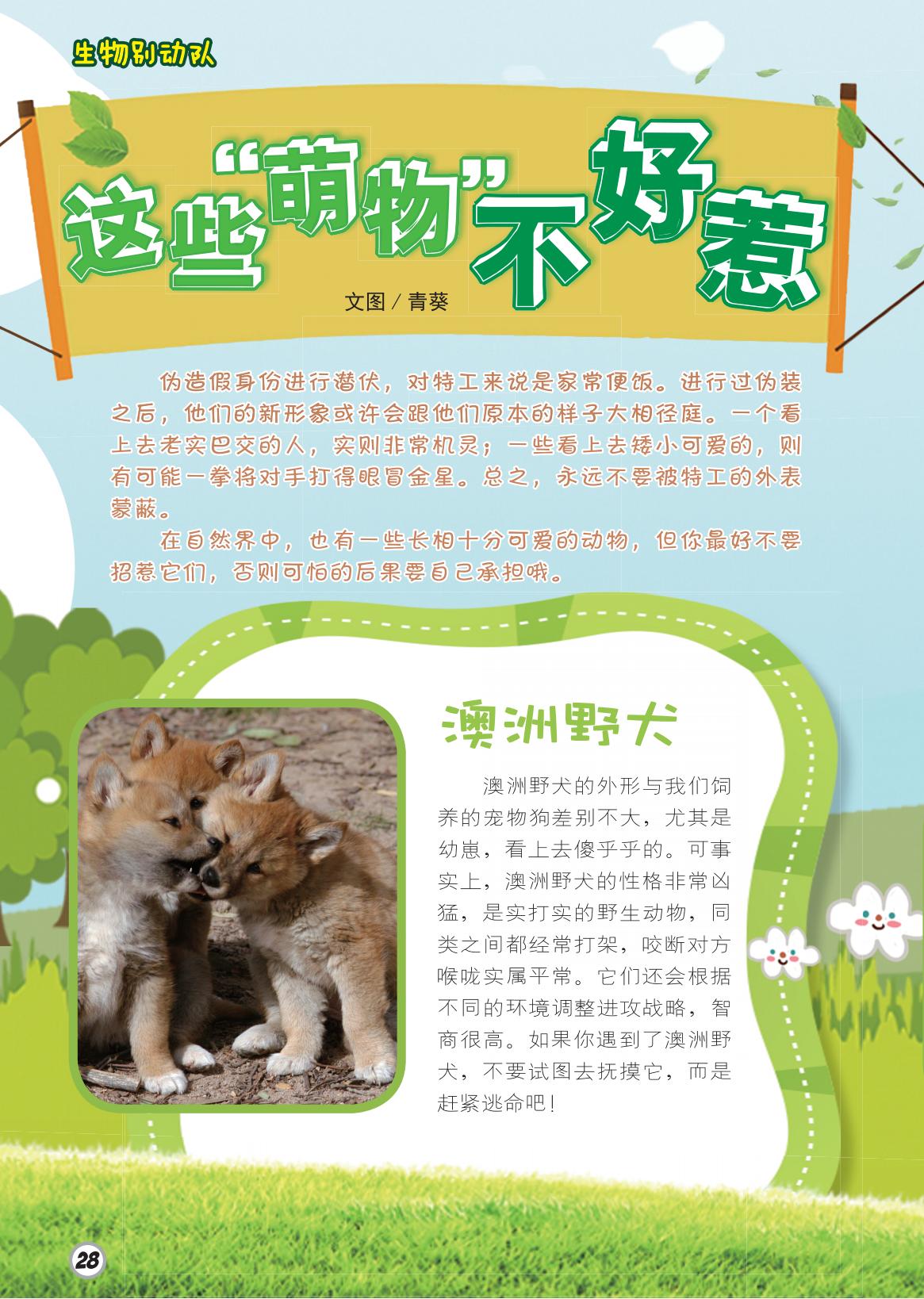 萌物,特工,假造身份