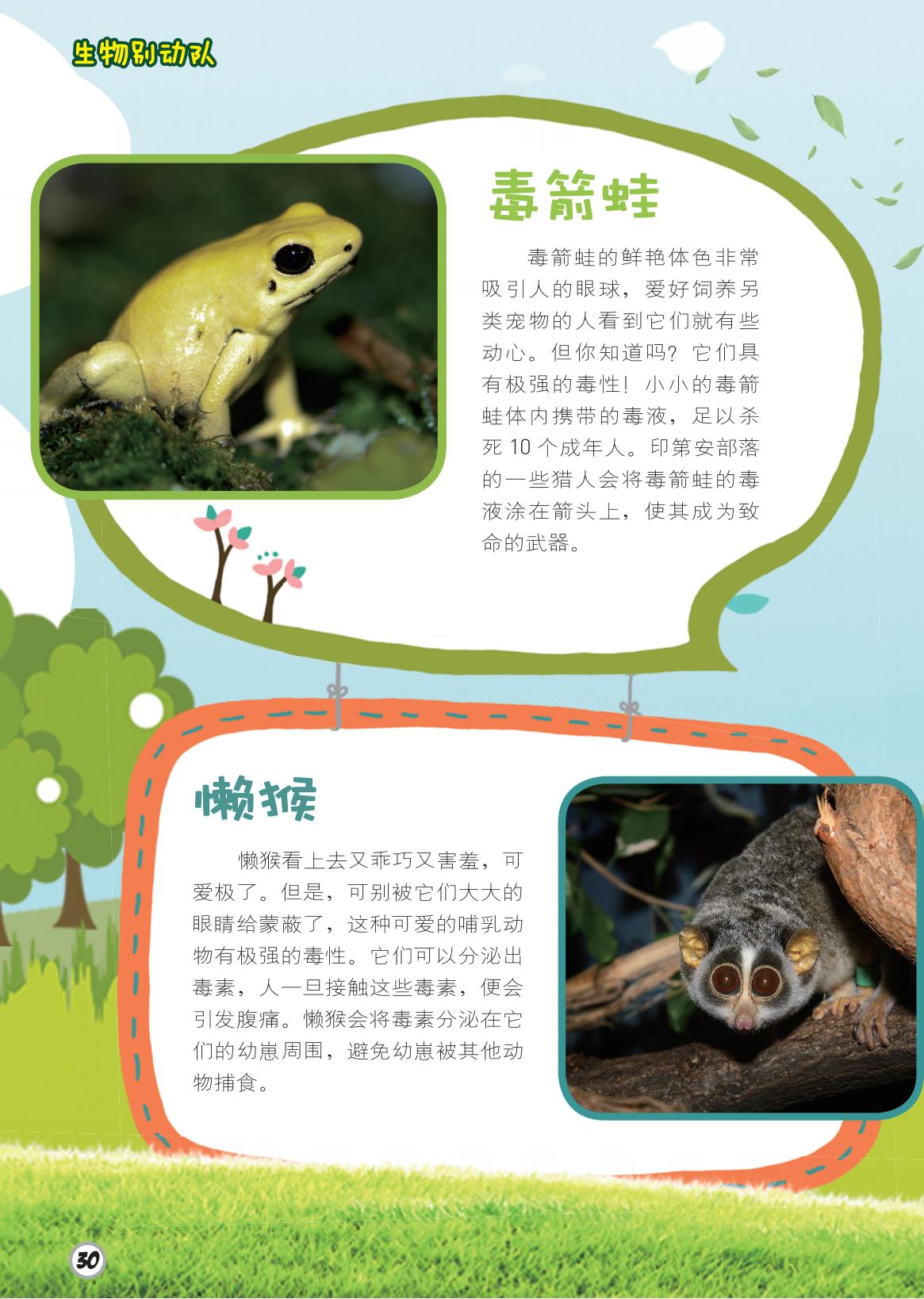 毒箭蛙,懒猴,毒素分泌