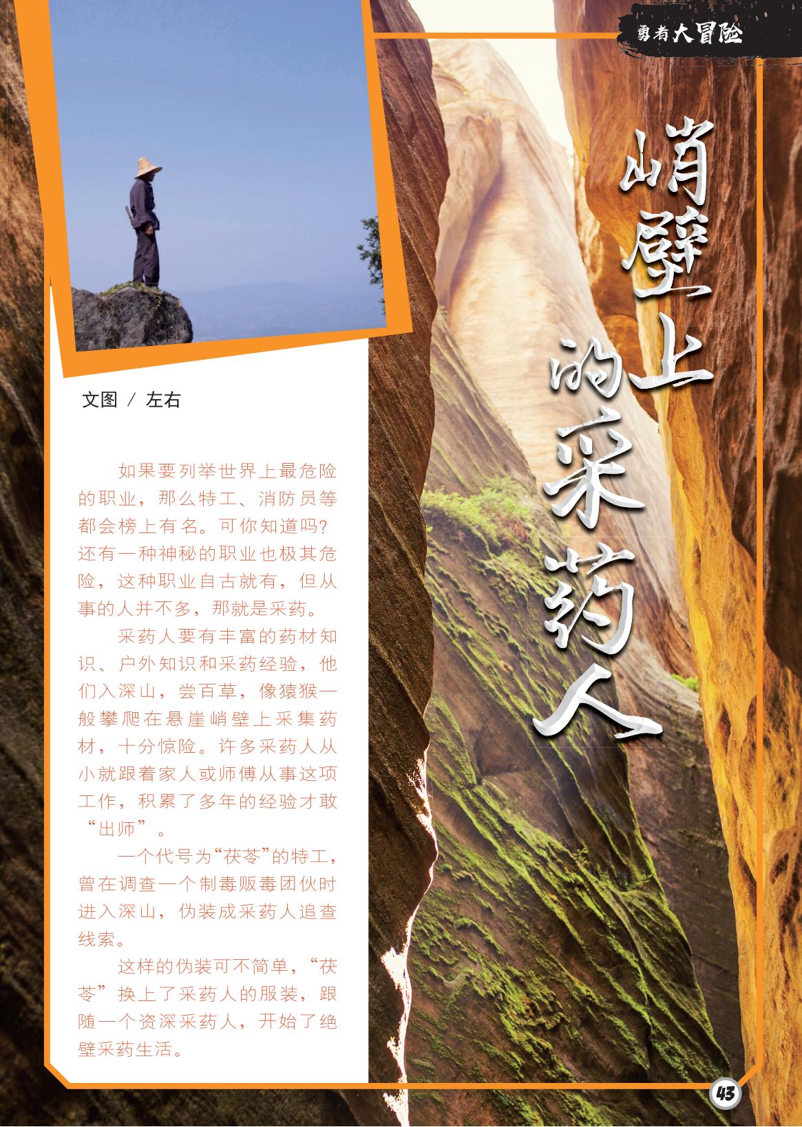 峭壁,出师,采药人,茯苓