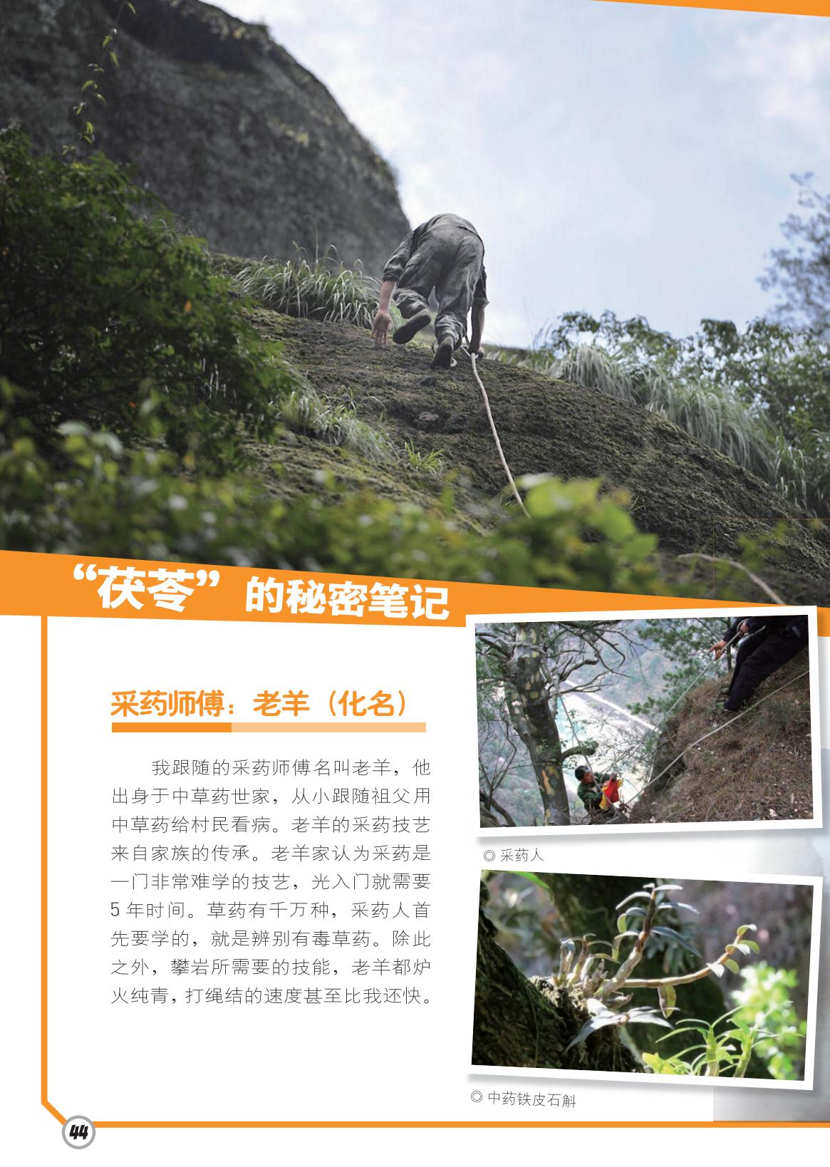 采药师傅,毒草药,打绳结