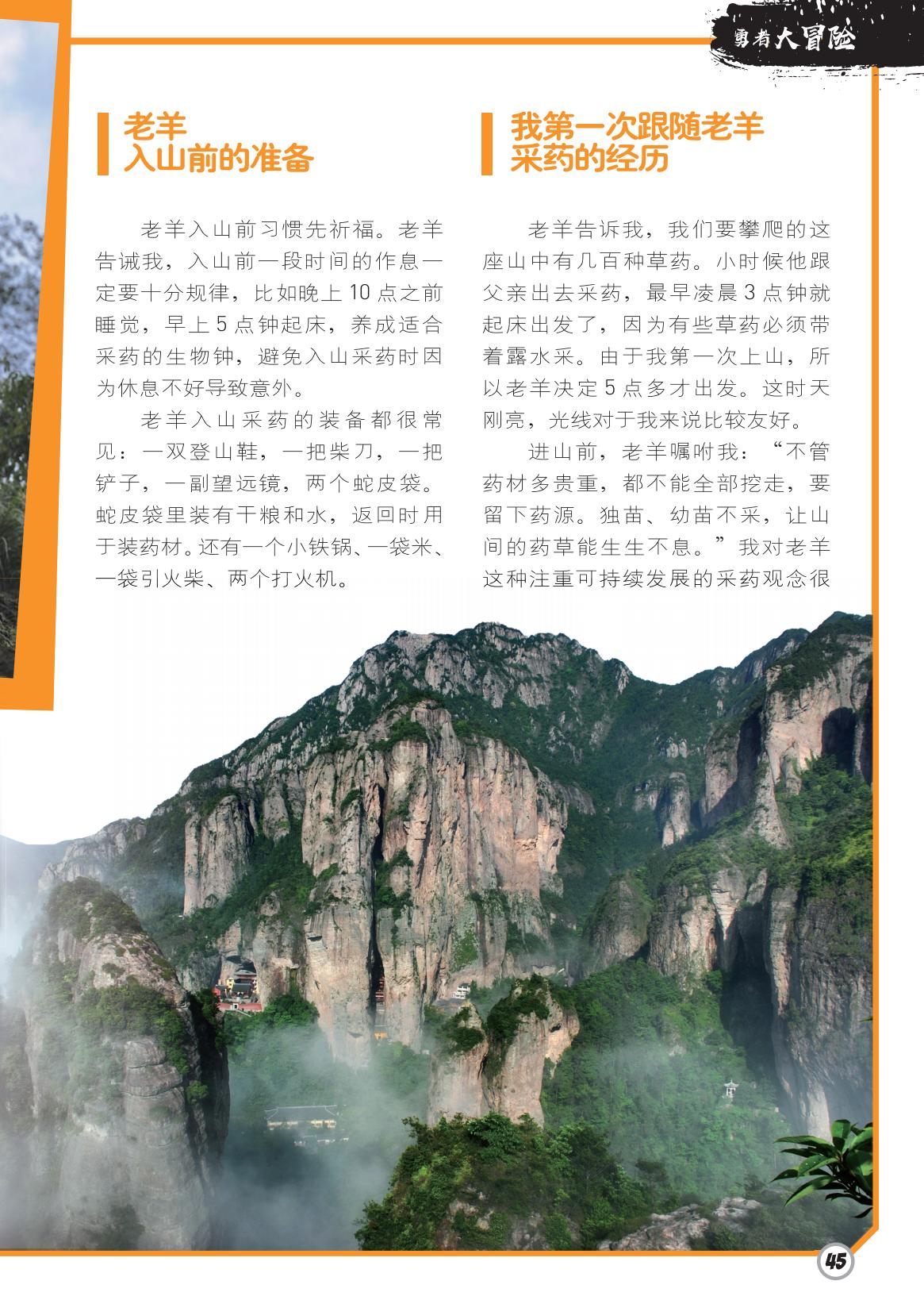 装备,经历,幼苗