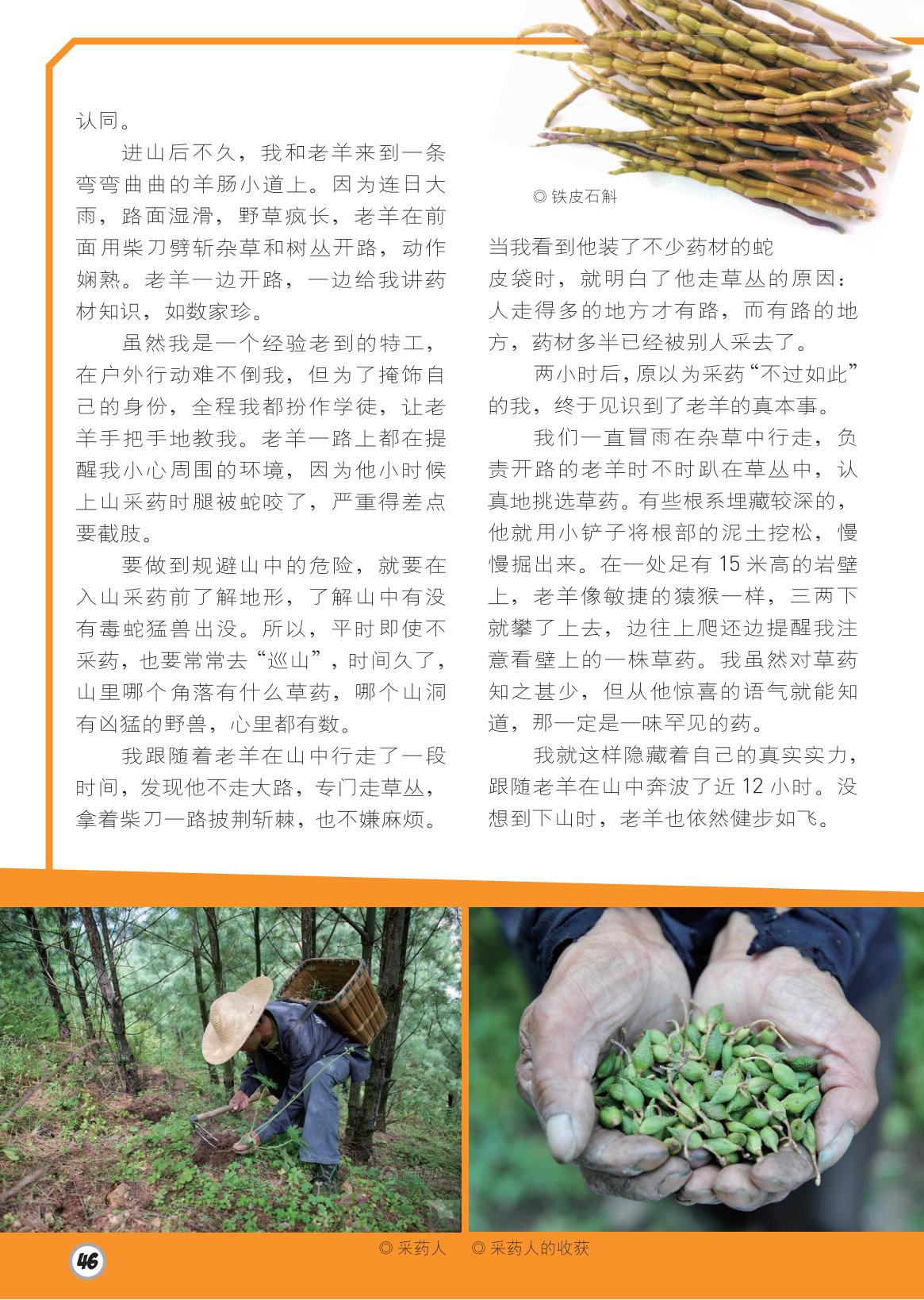 蛇,巡山,罕见,健步如飞