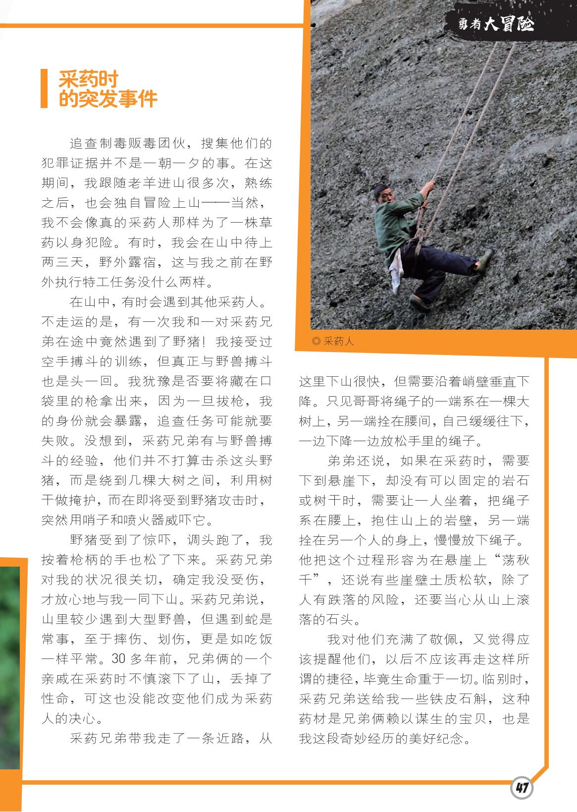 突发事件,野猪,搏斗训练