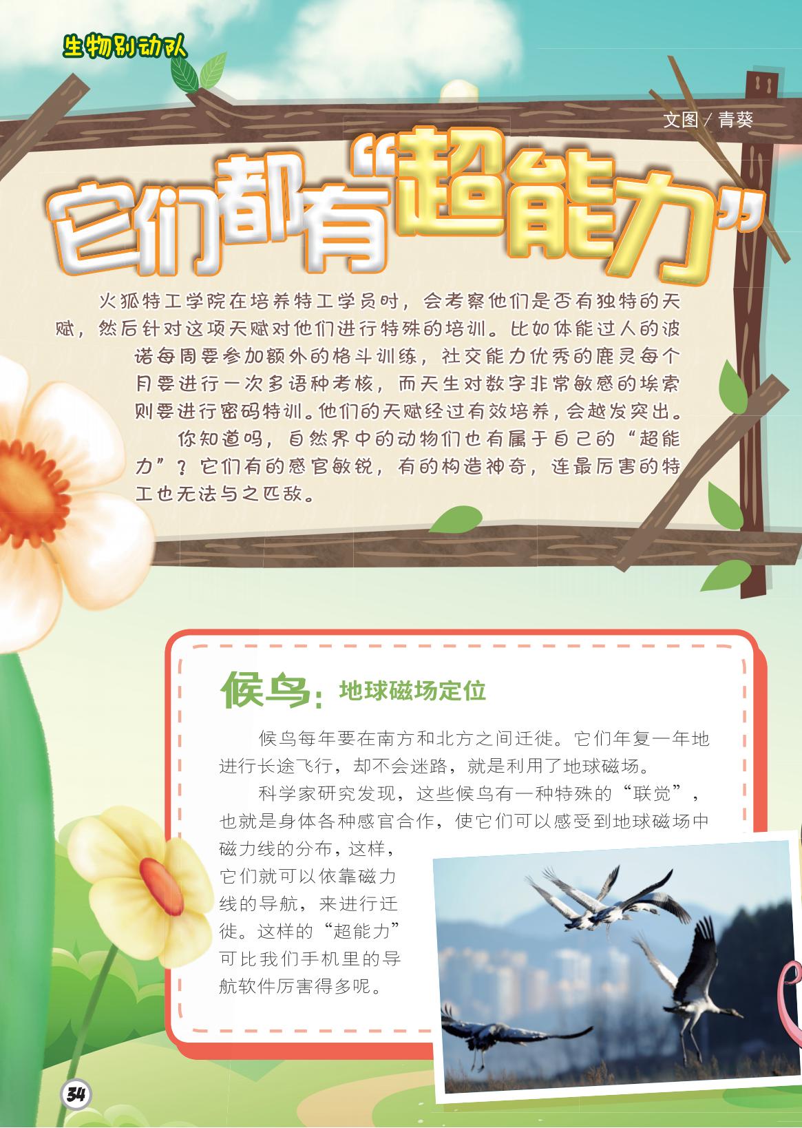 超能里,候鸟,磁场定位 超能里,候鸟,磁场定位