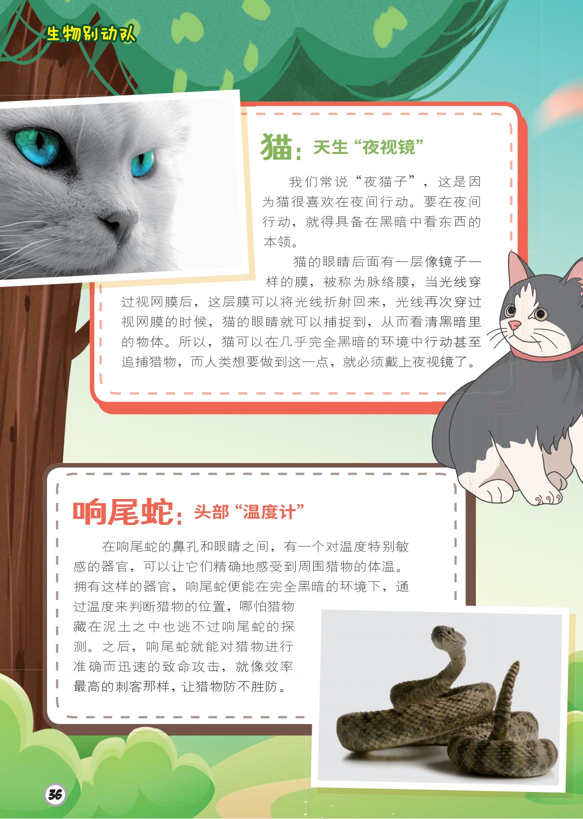 猫,夜视镜,响尾蛇,温度计 猫,夜视镜,响尾蛇,温度计