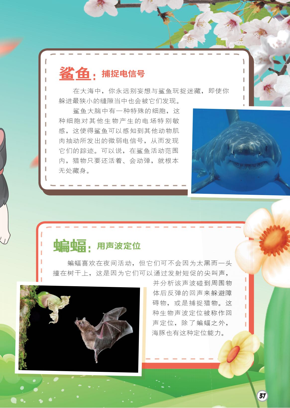 鲨鱼,电信号,蝙蝠,声波定位 鲨鱼,电信号,蝙蝠,声波定位