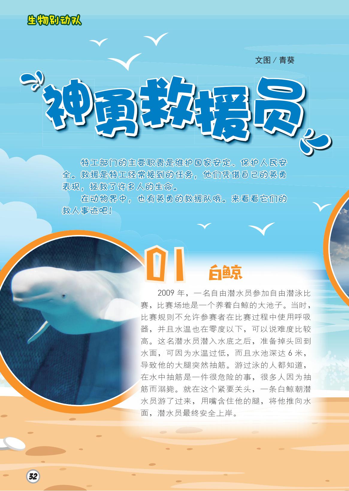 救援队,保护,白鲸,安全上岸