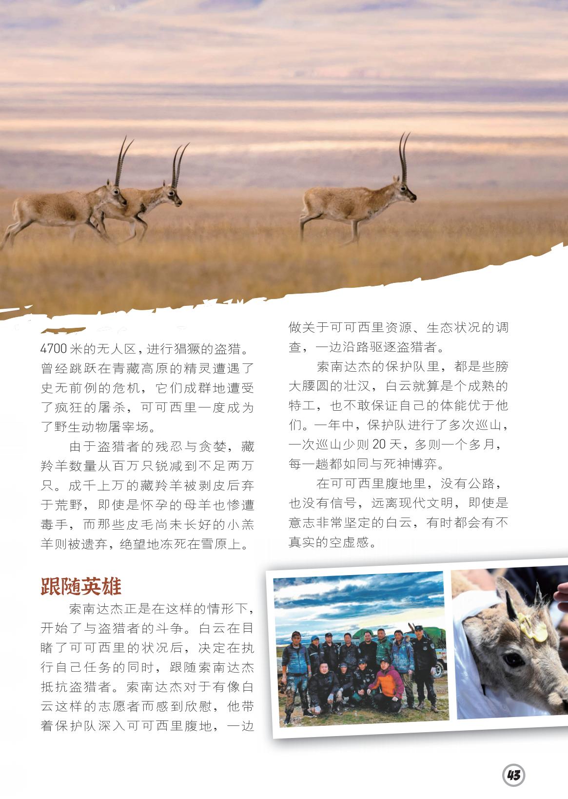 野生动物屠宰场,欣慰,驱逐