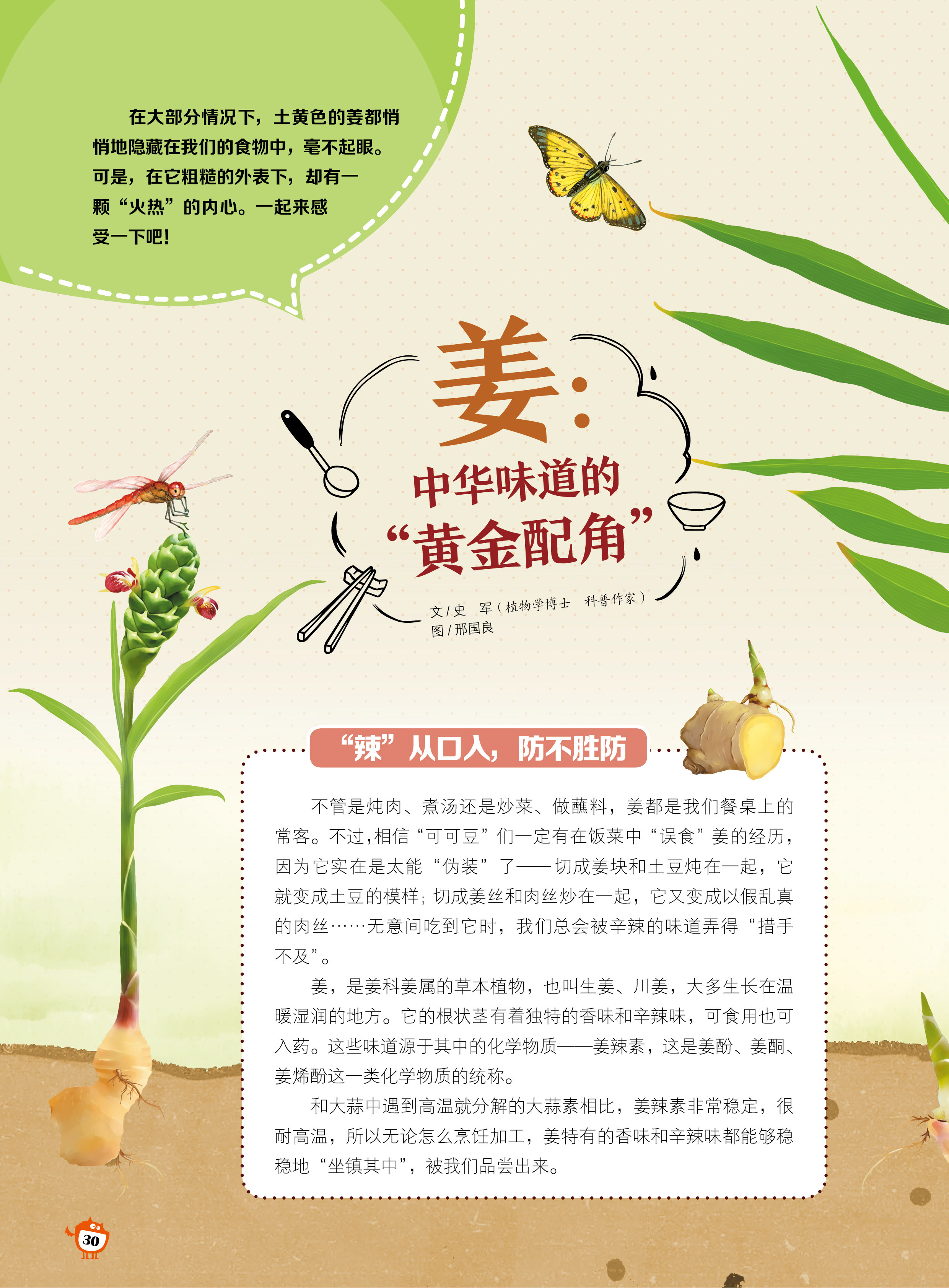 姜,中华味道,黄金配角