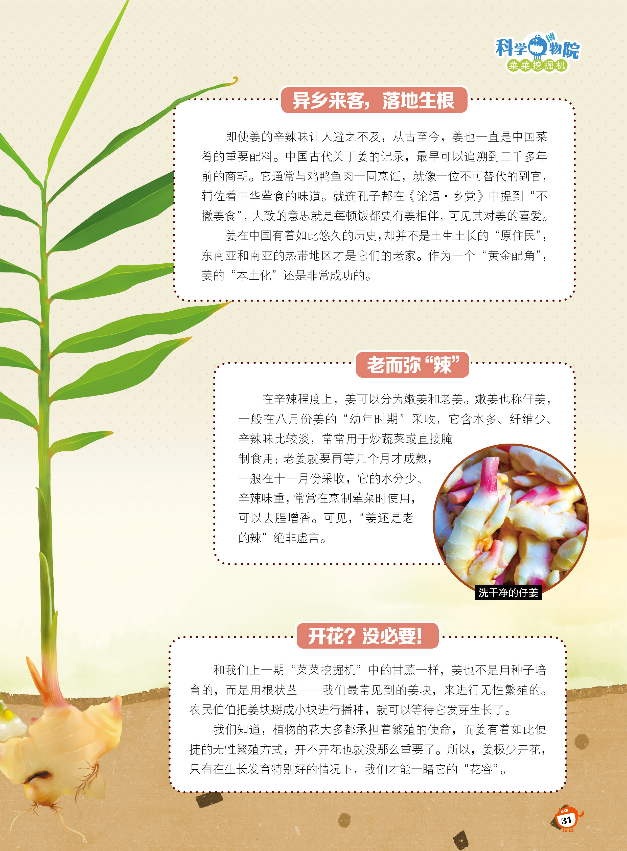 异乡来客,落地生根,开花