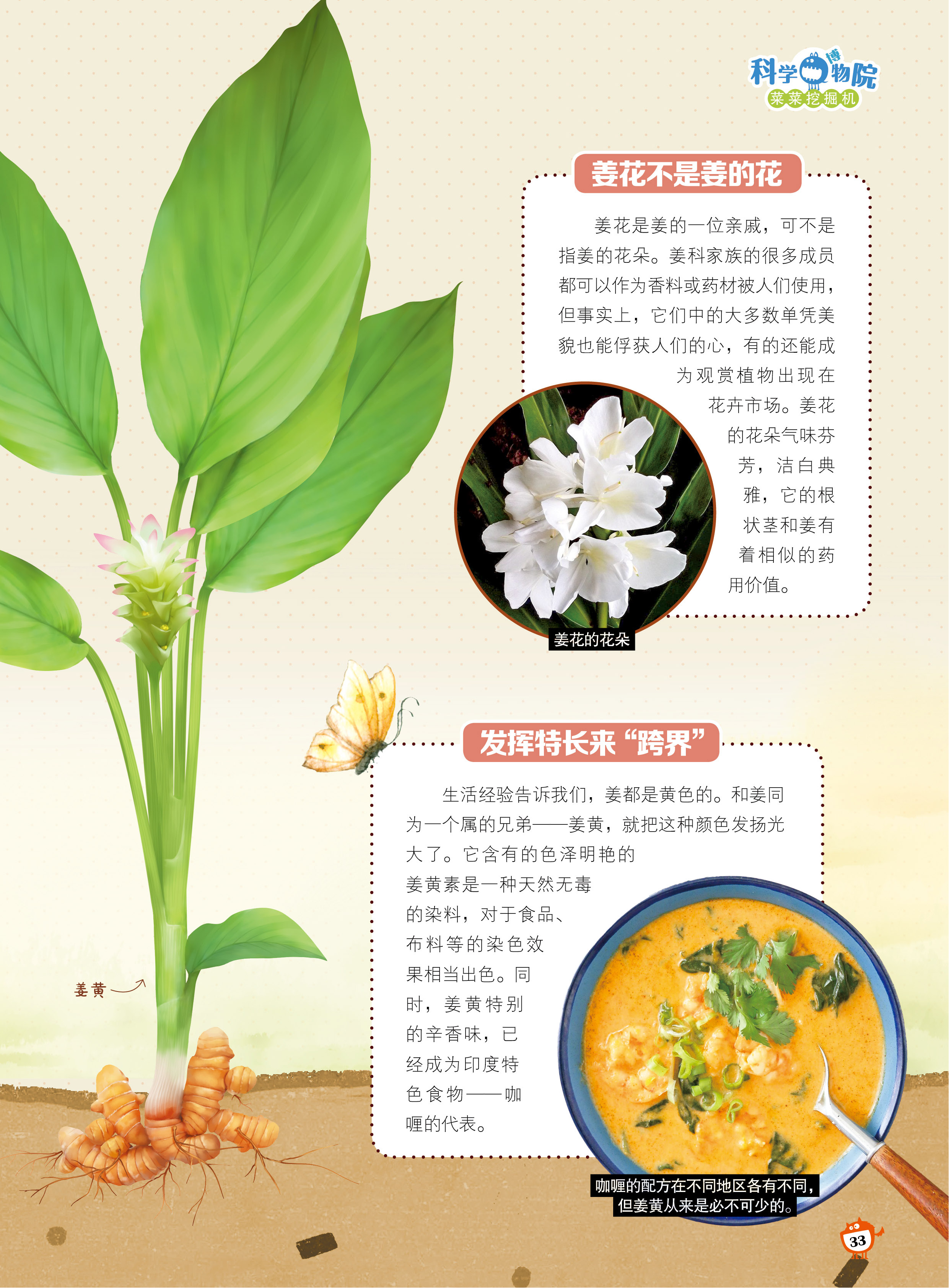 姜花,跨界,姜黄