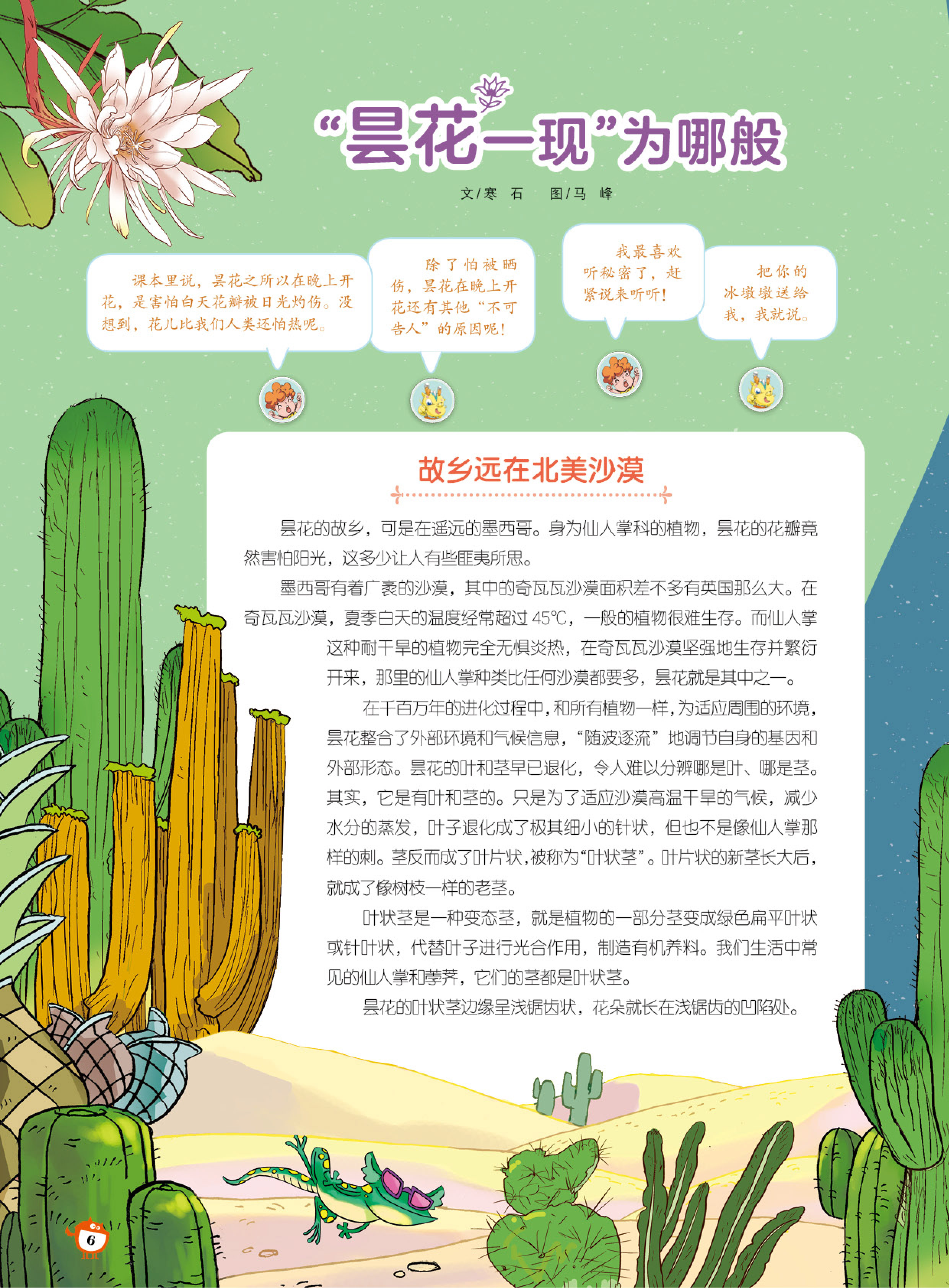 昙花,故乡,北美沙漠,花朵 昙花,故乡,北美沙漠,花朵