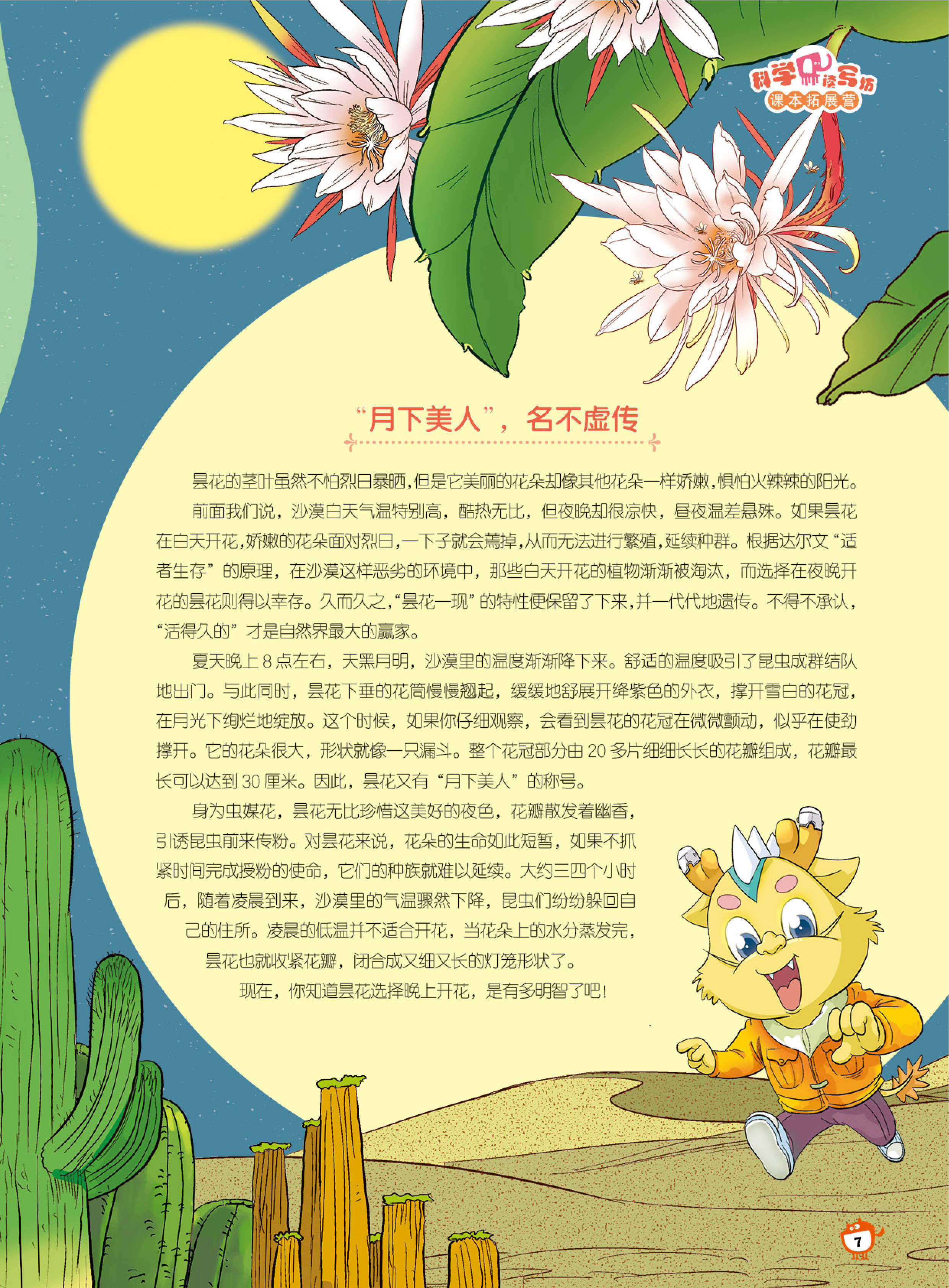 月下美人,茎叶,名不虚传 月下美人,茎叶,名不虚传